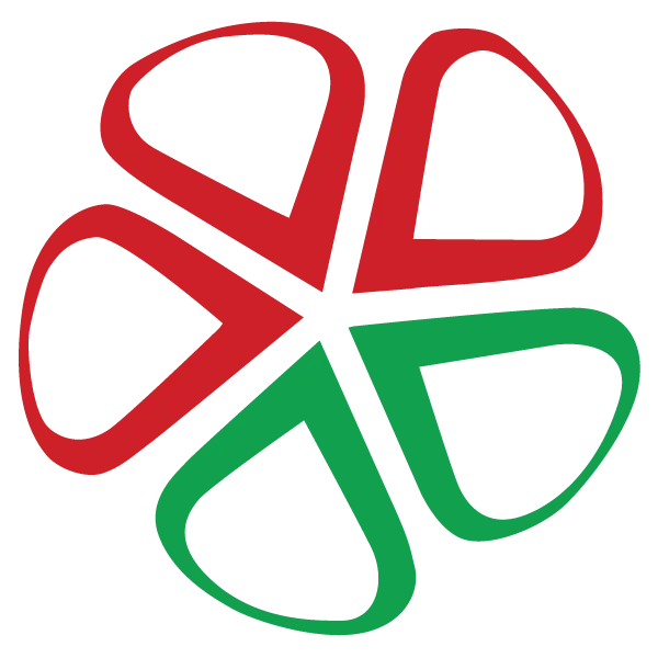 Al Madina Supermarket LLC
