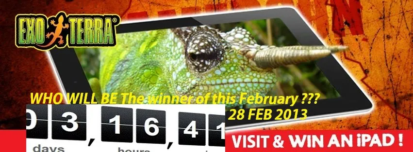 Mirdif Pet Store