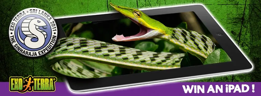 Mirdif Pet Store