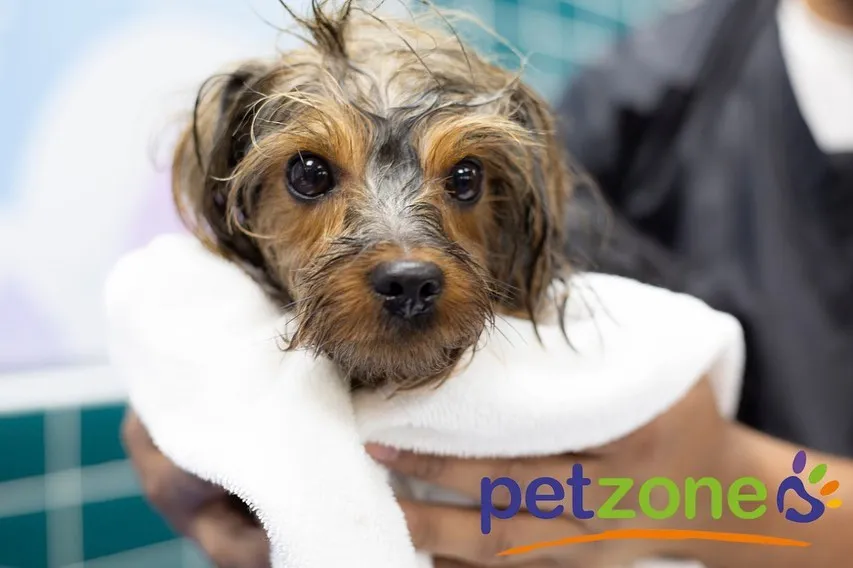 Petzone