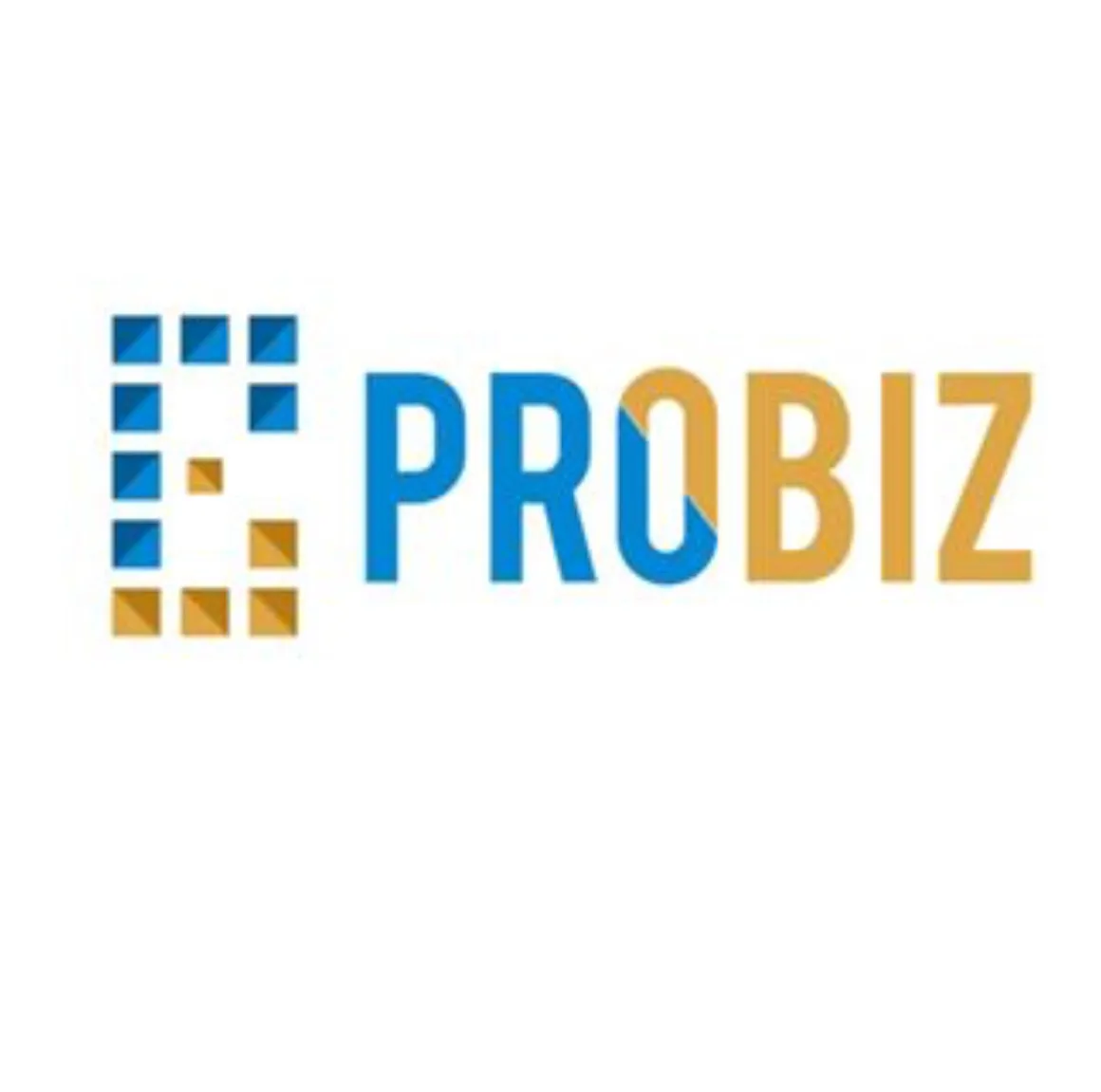 Probiz Corporate Services Provider