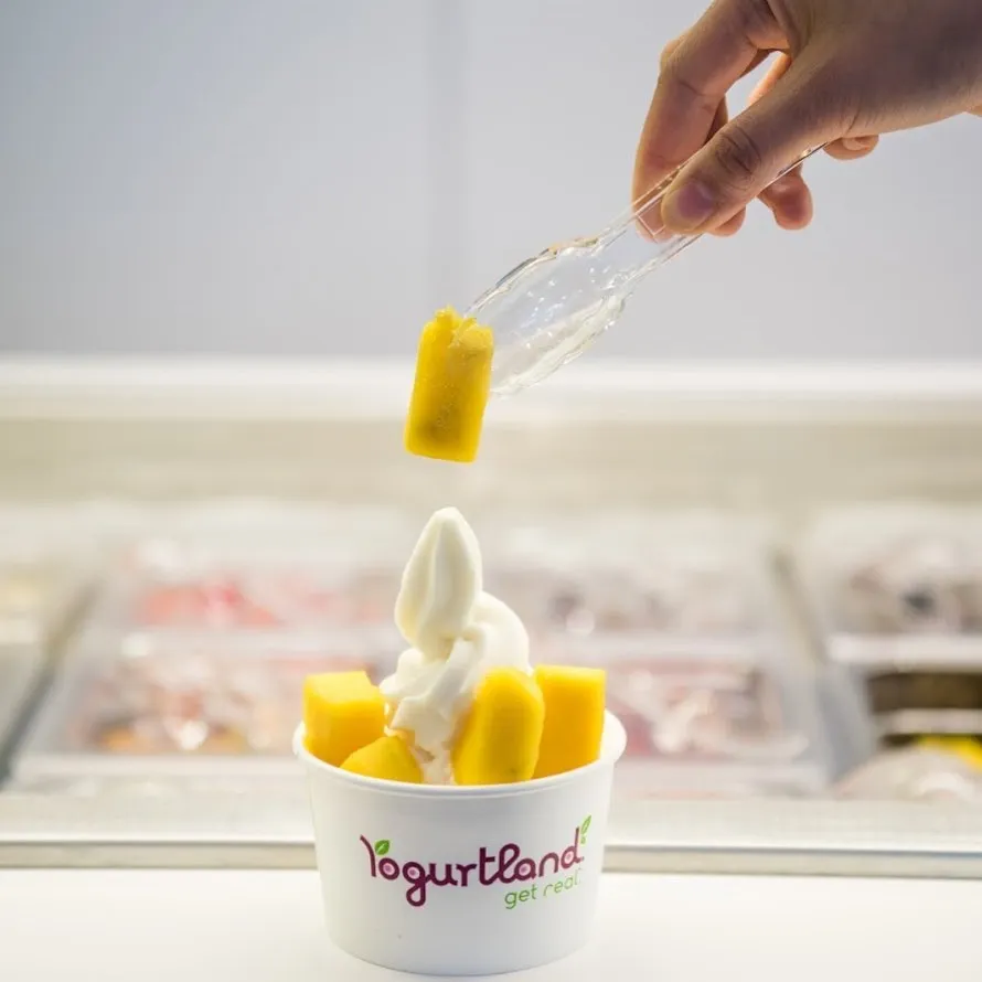 Yogurtland