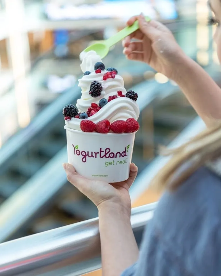 Yogurtland