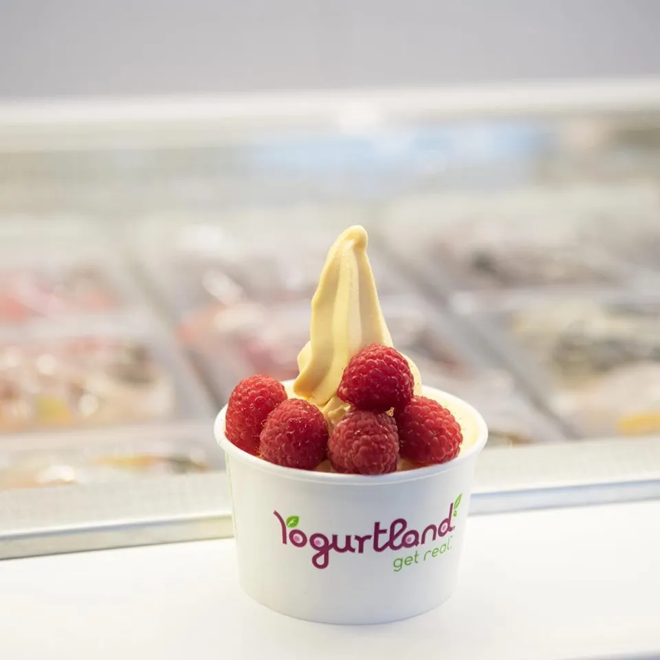 Yogurtland