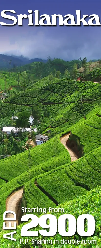Emessa Travel & Tourism