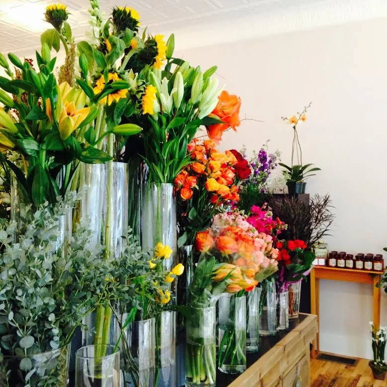 Fine Blooms