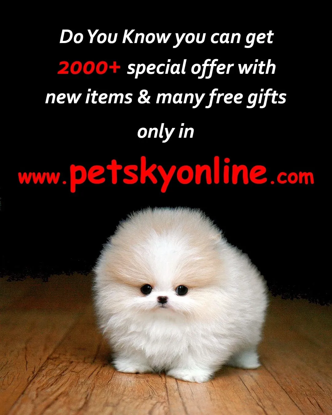Pet Sky