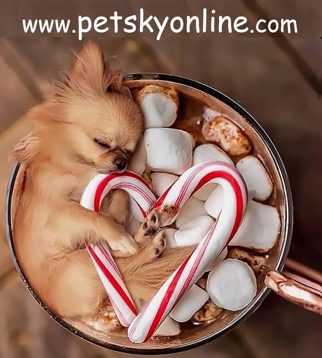 Pet Sky