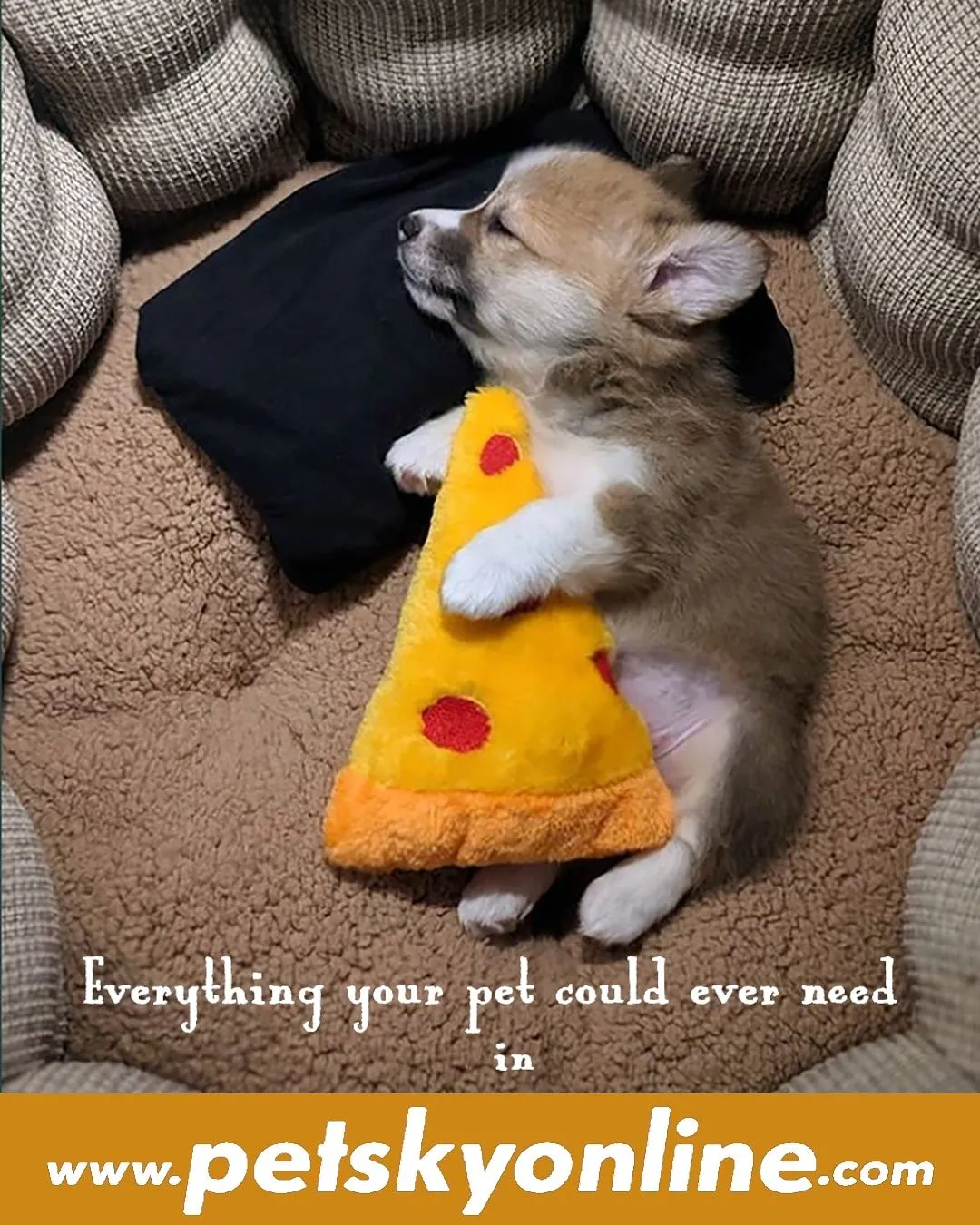 Pet Sky