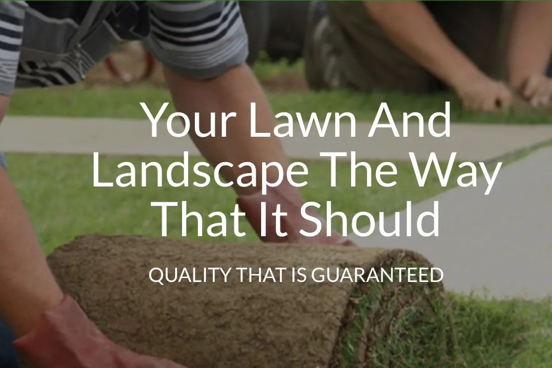 Afnan Garden &  Landscape Services