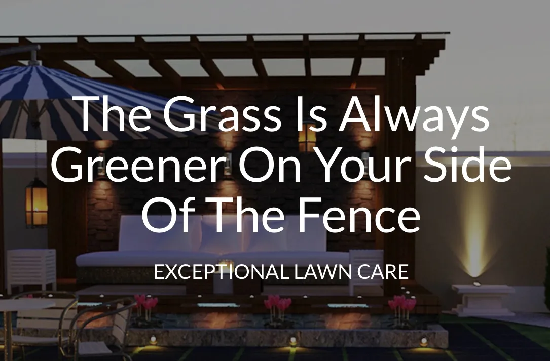 Afnan Garden &  Landscape Services