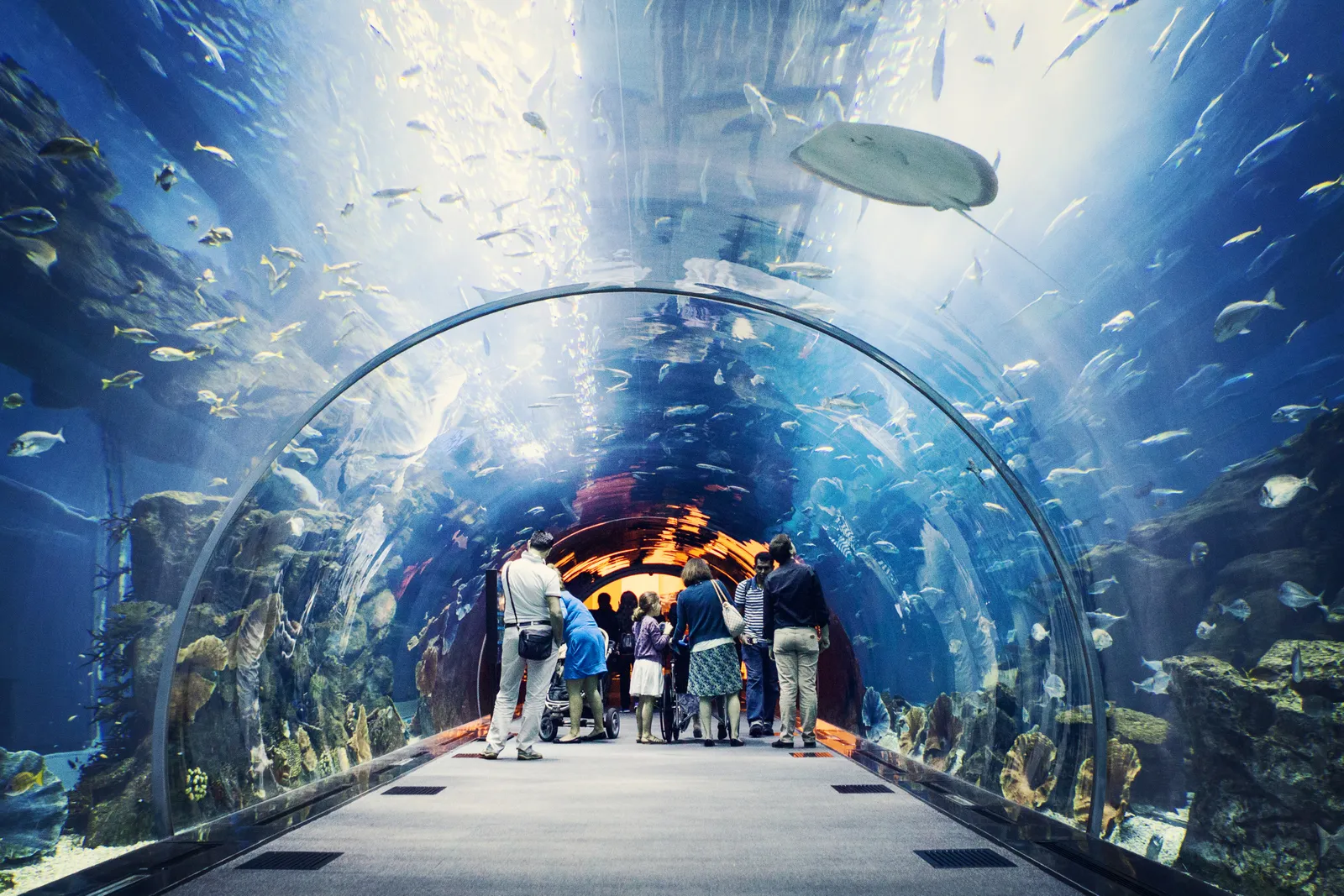 The Dubai Mall