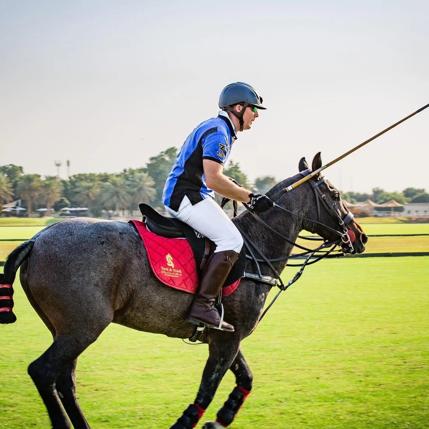 Tack & Track Horse Equipments 