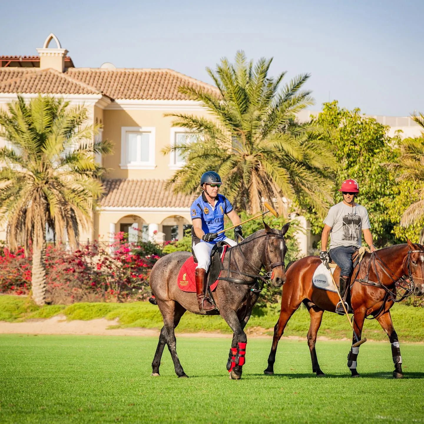 Tack & Track Horse Equipments 