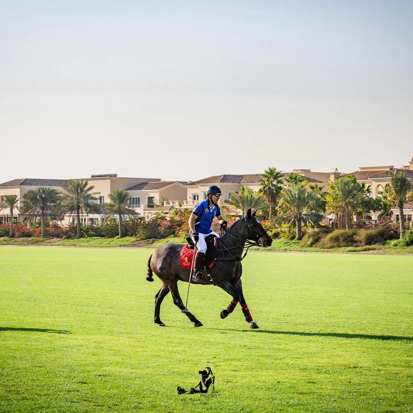 Tack & Track Horse Equipments 