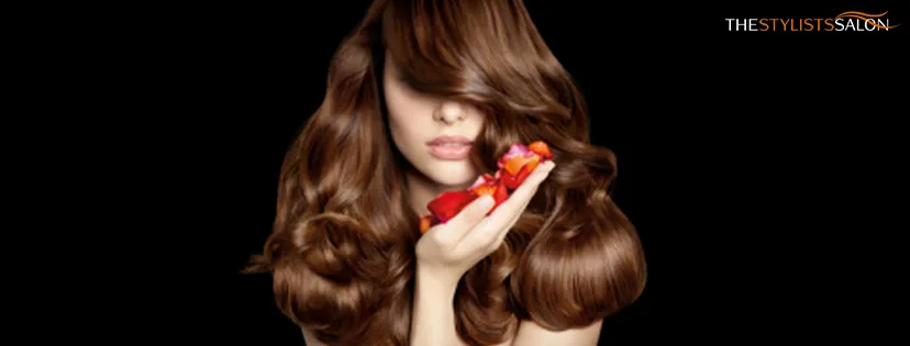 The Stylist Lady Salon