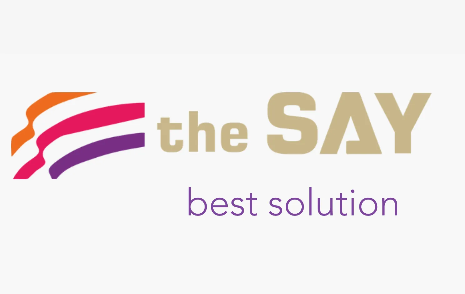 The SAY