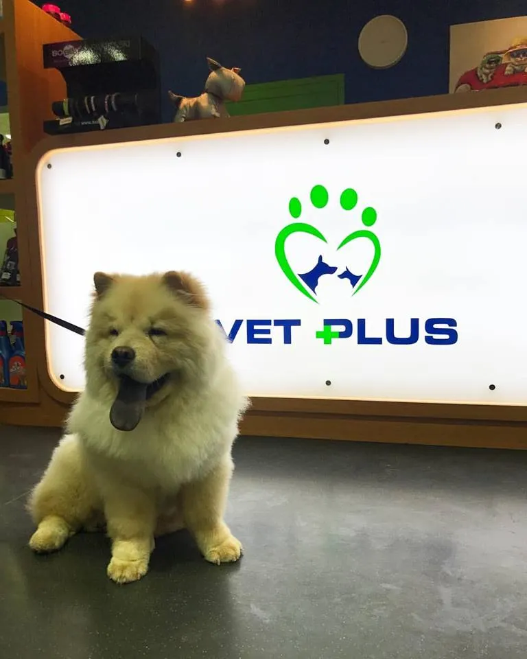 VET Plus
