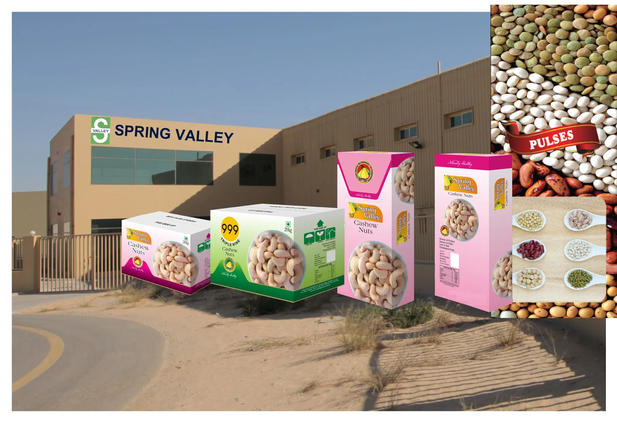 Spring Valley