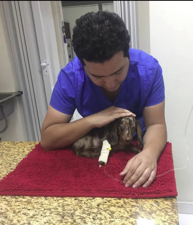Pet Lovers Vet Clinic