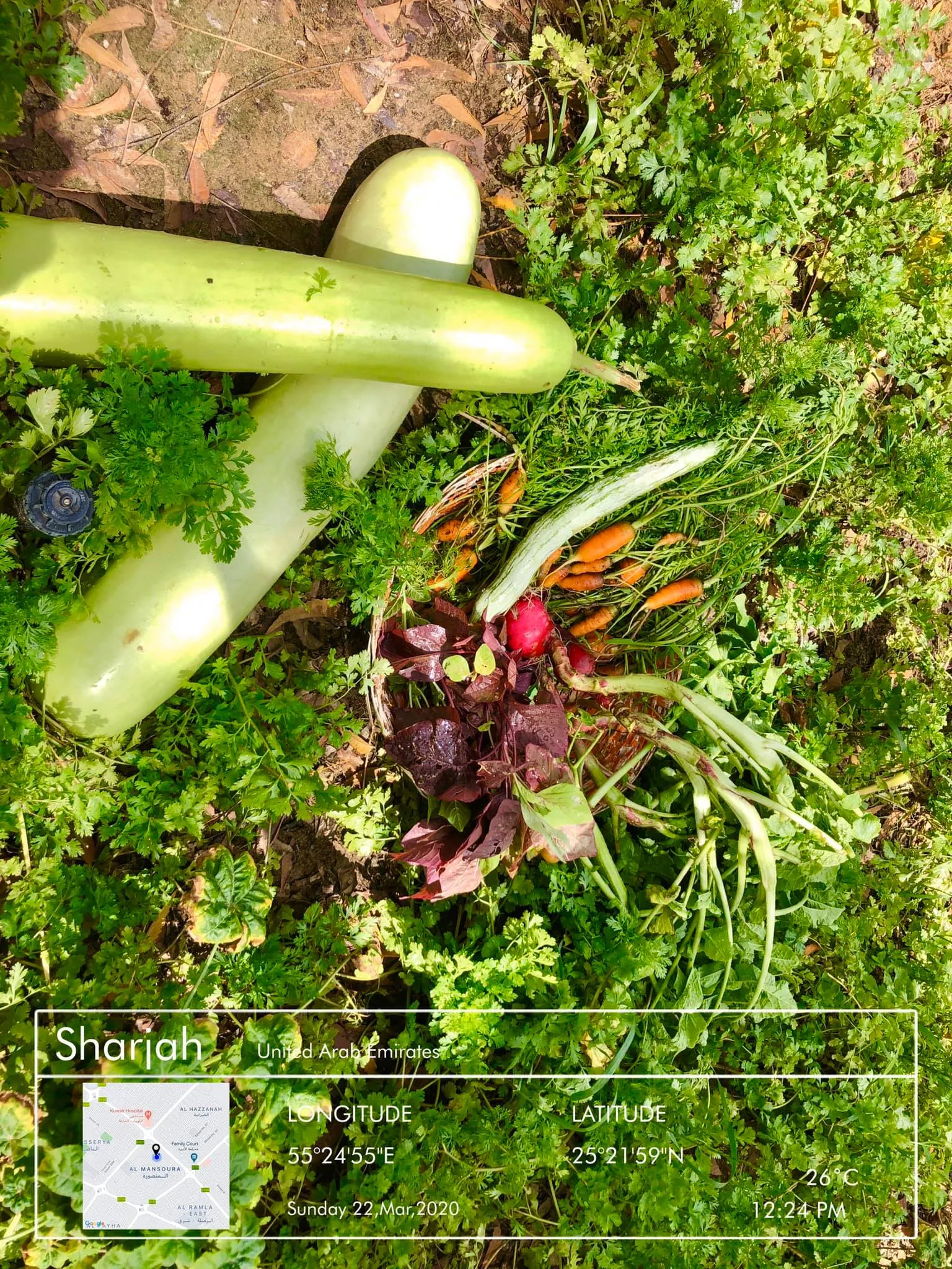Green Life Organic Farming, LLC