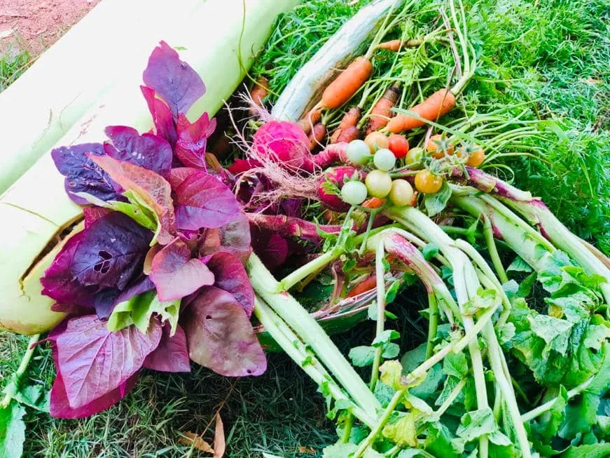Green Life Organic Farming, LLC