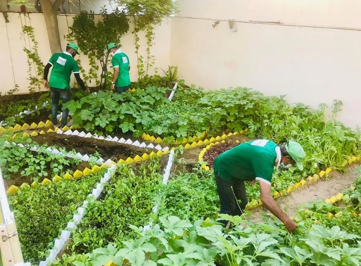 Green Life Organic Farming, LLC
