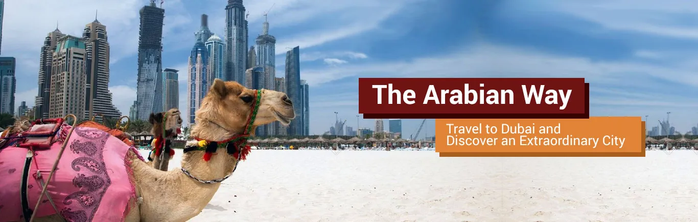 Season Adventure Tourism