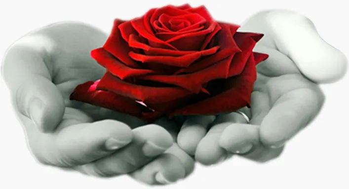 Rich Rose Flowers Trading LLC 