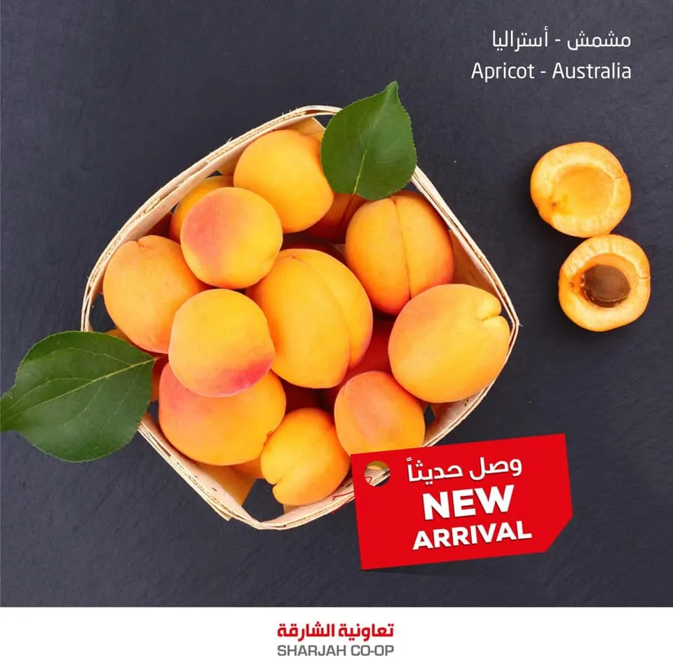 Sharjah Co-operative