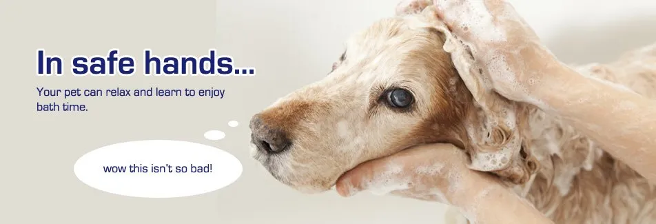 Snoopy Pets