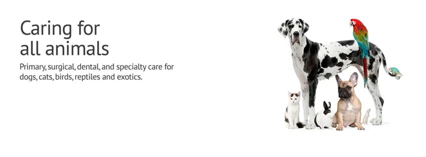 Petland Mega Store
