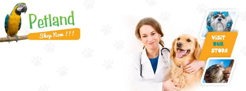 Petland Mega Store