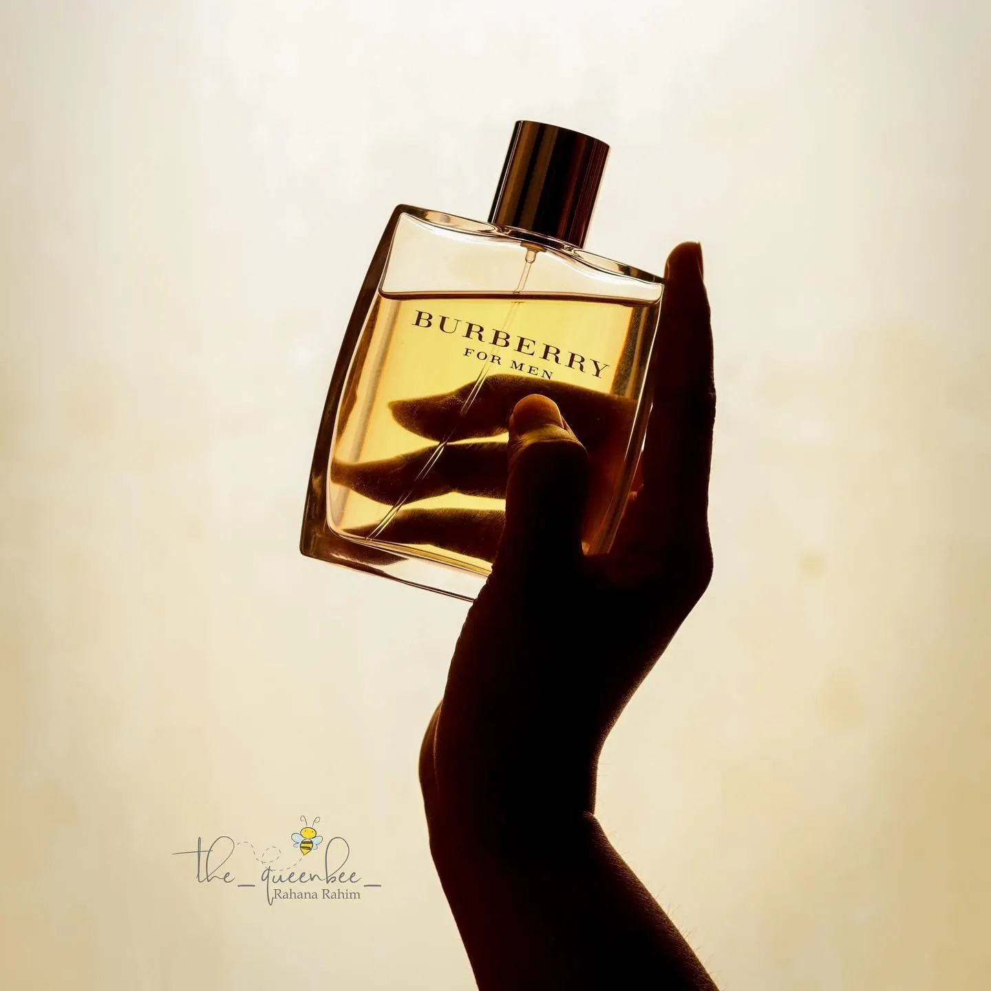 V Perfumes