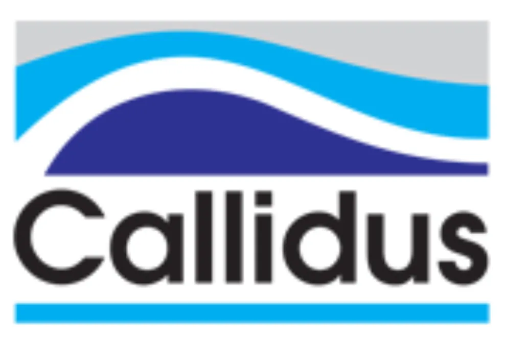 Callidus Corporate And Maritime Consulting