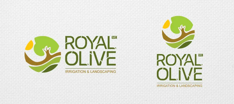 Rocket Marketing Consultant