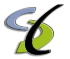 Custom Business Solutions 
