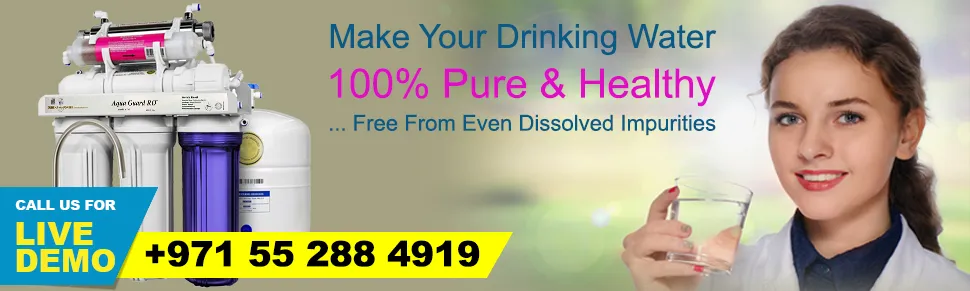 Eureka Forbes LLC