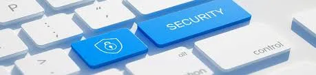 Al Mazrooei Security Systems, LLC