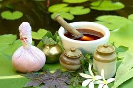 Ayurmana Ayurveda Panchakarma Center FZC