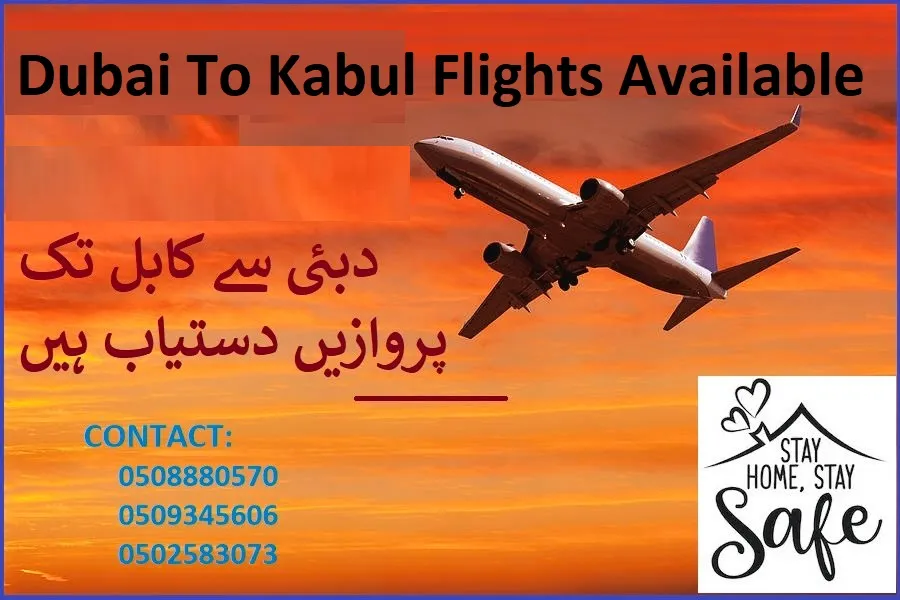 Mardan Travels, LLC