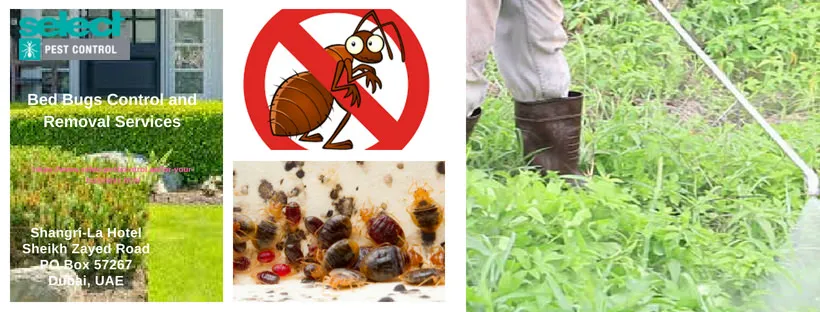 Select Pest Control