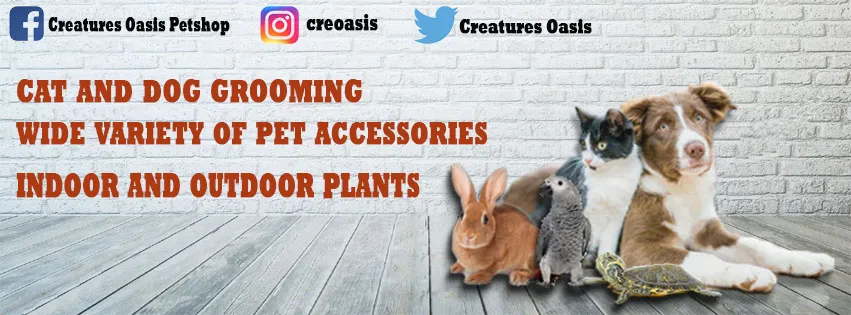 Creatures Oasis