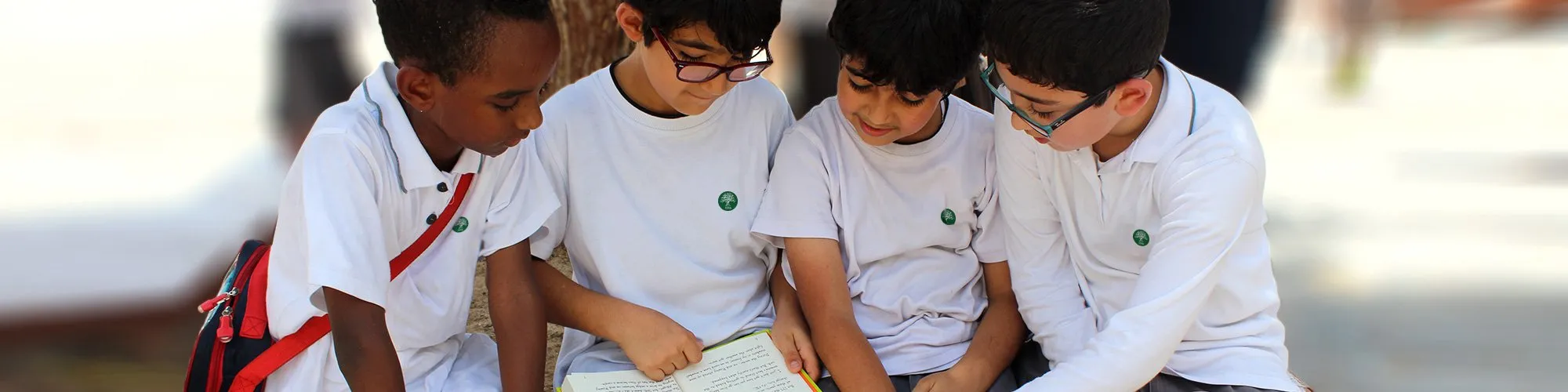 The International School Of Choueifat