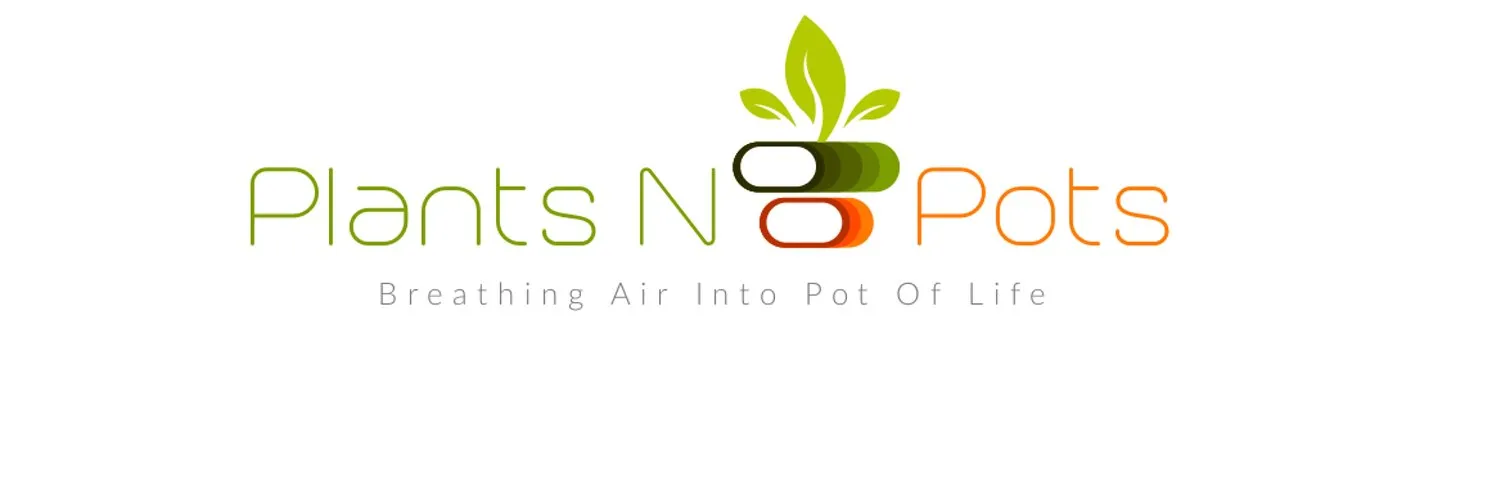 Plants N Pots