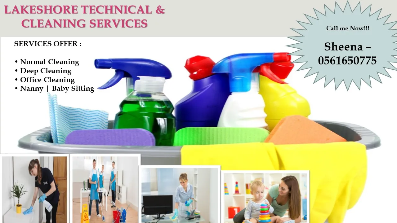 Lake Shore Cleaning Services