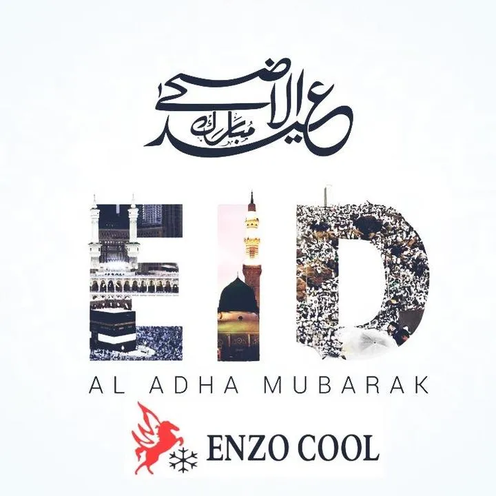 Enzo Cool Trading LLC