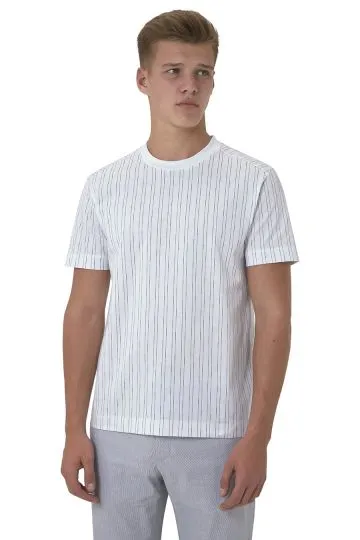 Cerruti 1881