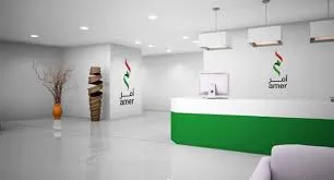 Amer Services
