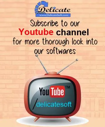 Delicate Software Solutions